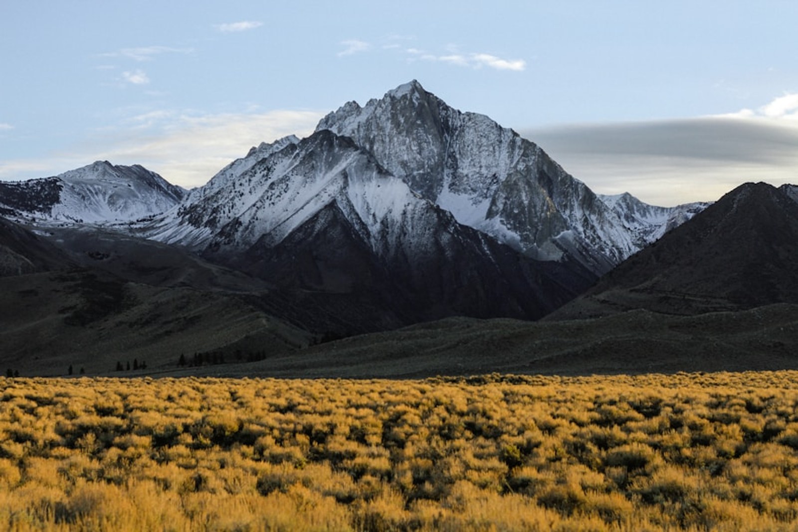 Snow-covered peaks above golden alpine grass